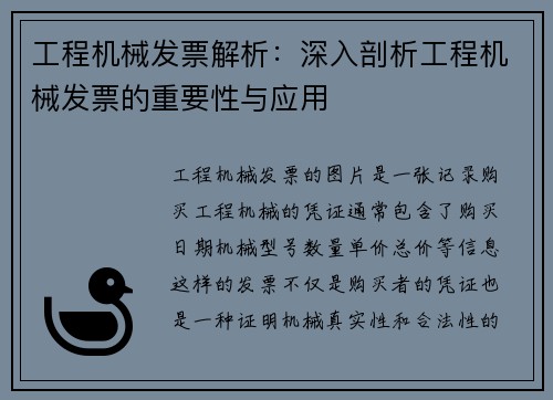 工程机械发票解析：深入剖析工程机械发票的重要性与应用